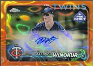 Brandon Winokur