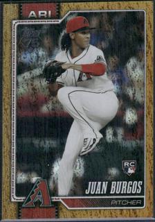 Juan Burgos