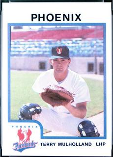 Terry Mulholland