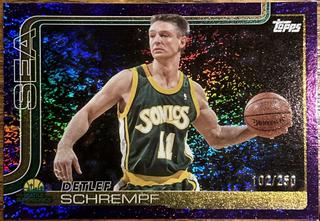 Detlef Schrempf