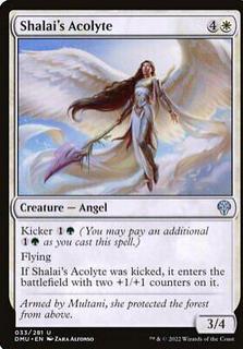 Shalai's Acolyte