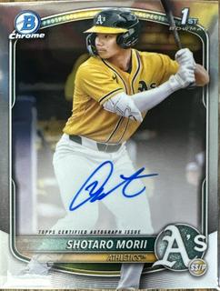 Shotaro Morii