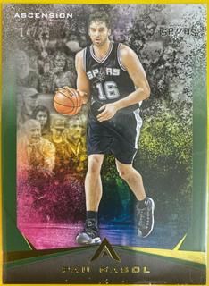 Pau Gasol