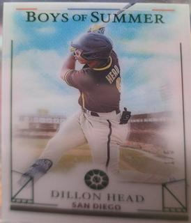 Dillon Head