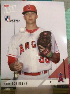 Troy Scribner