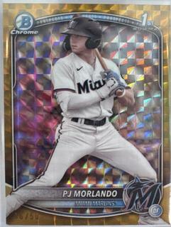 PJ Morlando