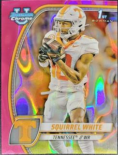 Squirrel White