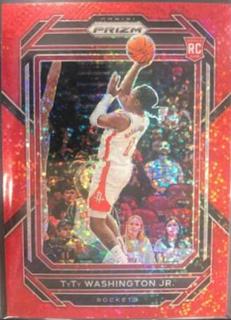 TyTy Washington Jr.