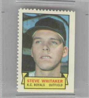 Steve Whitaker