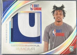 Terrence Shannon Jr.