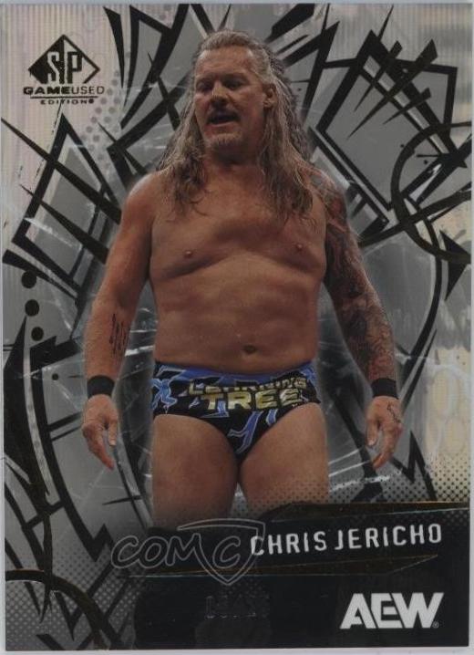 Chris Jericho [Rainbow] #15
