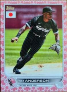Tim Anderson