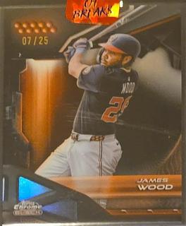 James Wood