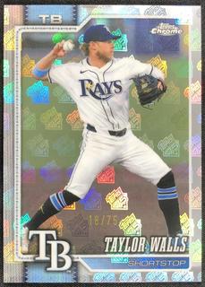 Taylor Walls