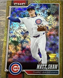 Matt Shaw