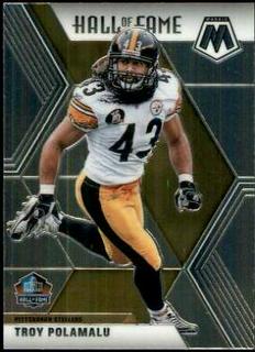 Troy Polamalu