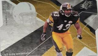 Troy Polamalu