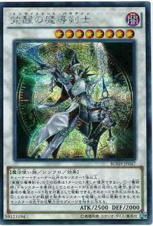 Enlightenment Paladin BOSH-JP047