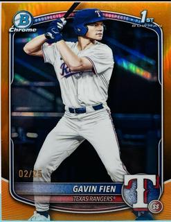 Gavin Fien