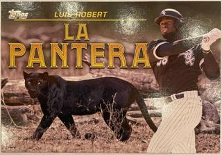 Luis Robert