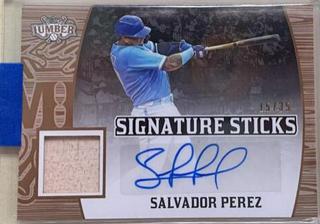 Salvador Perez