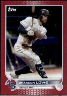Tampa Bay Rays