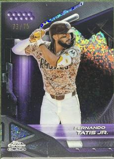Fernando Tatis Jr.