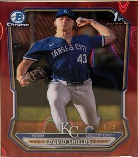 David Shields
