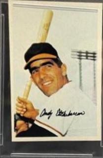 Andy Etchebarren