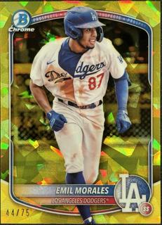 Emil Morales
