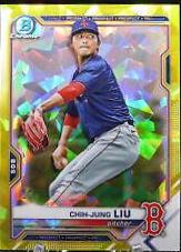 Chih Jung Liu
