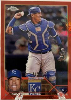 Salvador Perez