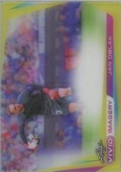 Jan Oblak #VI-JO1 Soccer Cards 2022 Leaf Vivid Imagery