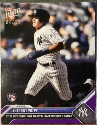 Anthony Volpe [Purple] #31