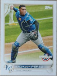 Salvador Perez