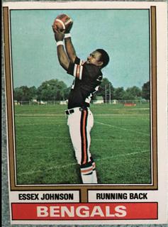 Essex Johnson