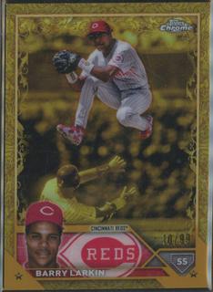 Barry Larkin