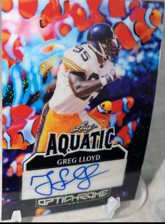 Greg Lloyd