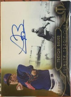 Trevor Bauer