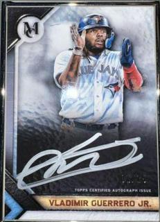 Vladimir Guerrero Jr.