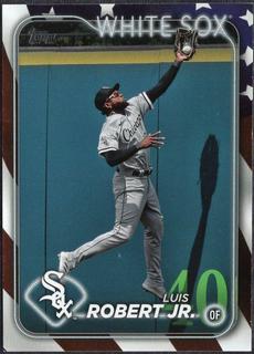 Luis Robert Jr.