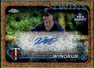 Brandon Winokur