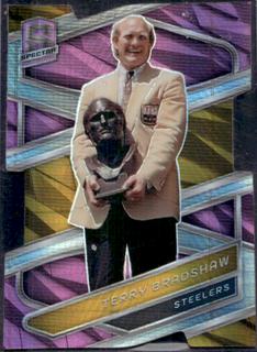 Terry Bradshaw