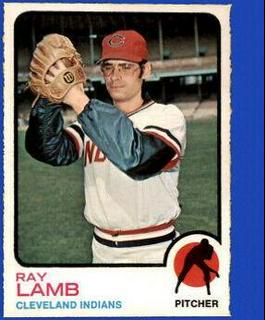 Ray Lamb