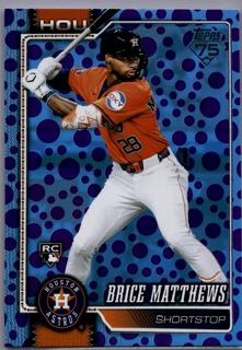 Brice Matthews