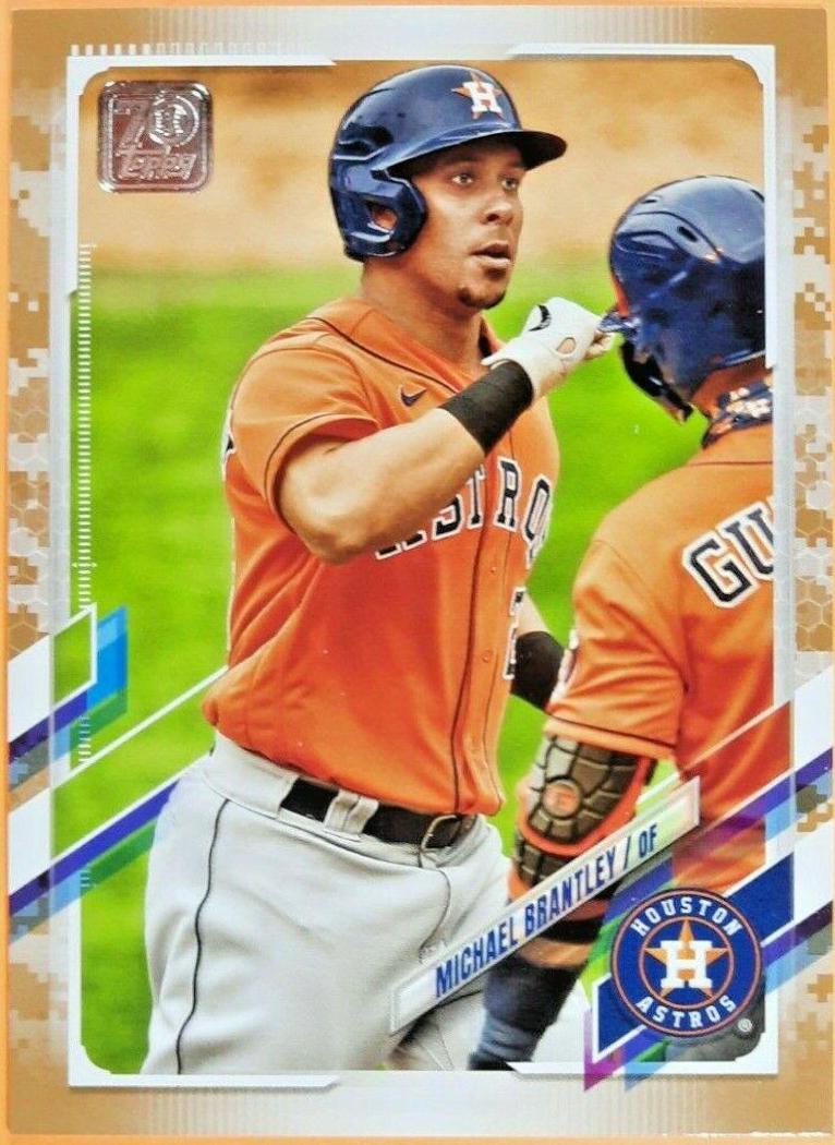 Michael Brantley [Memorial Day Camo] #434