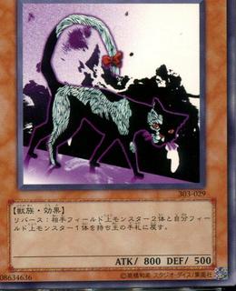 Dark Cat with White Tail 303-029