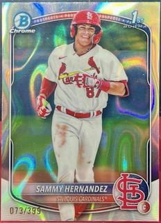 Sammy Hernandez