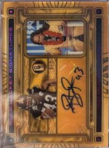 Troy Polamalu