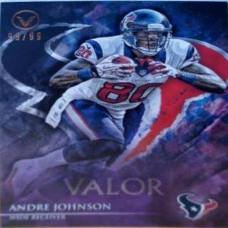 Andre Johnson
